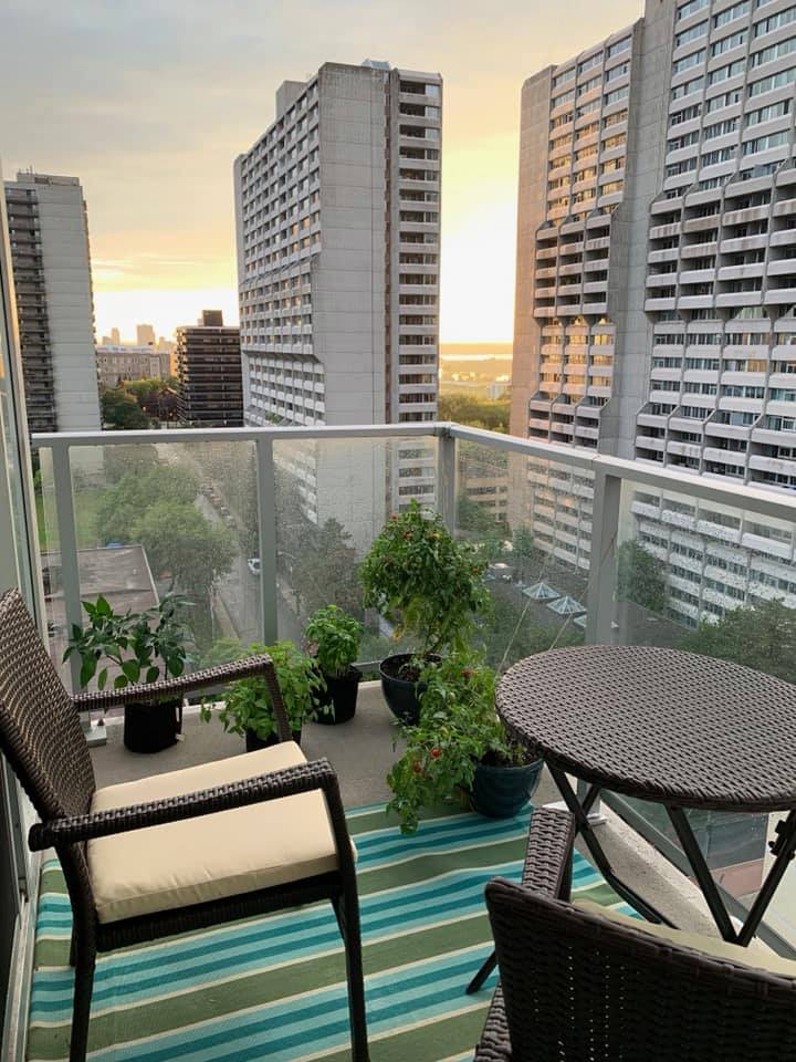 12F - 255 Bay Street - The Bowery Condos
