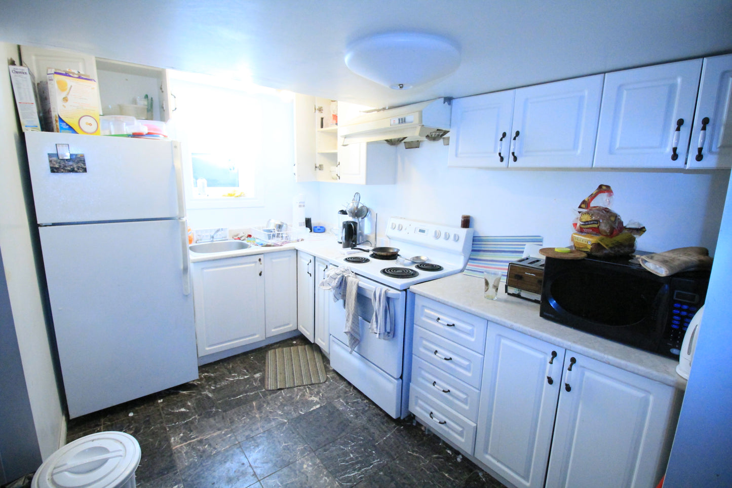 30 Robinson Avenue (Basement Unit)